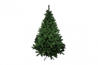Kerstboom Apine Pine (vanaf 120cm.)